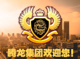 腾龙公司SEO款式比较